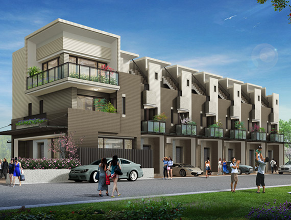 Lucian Portfolio Img